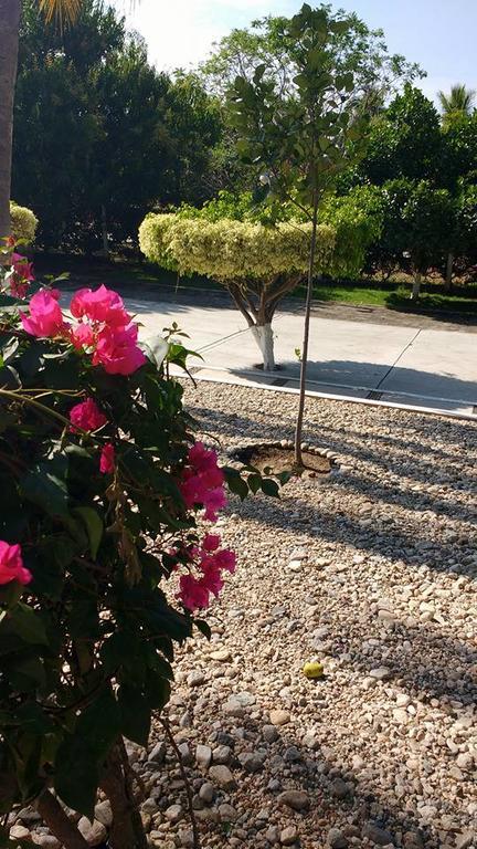 Hotel Y Club Campestre Altos Paraiso Пуэрто-Эскондидо Экстерьер фото