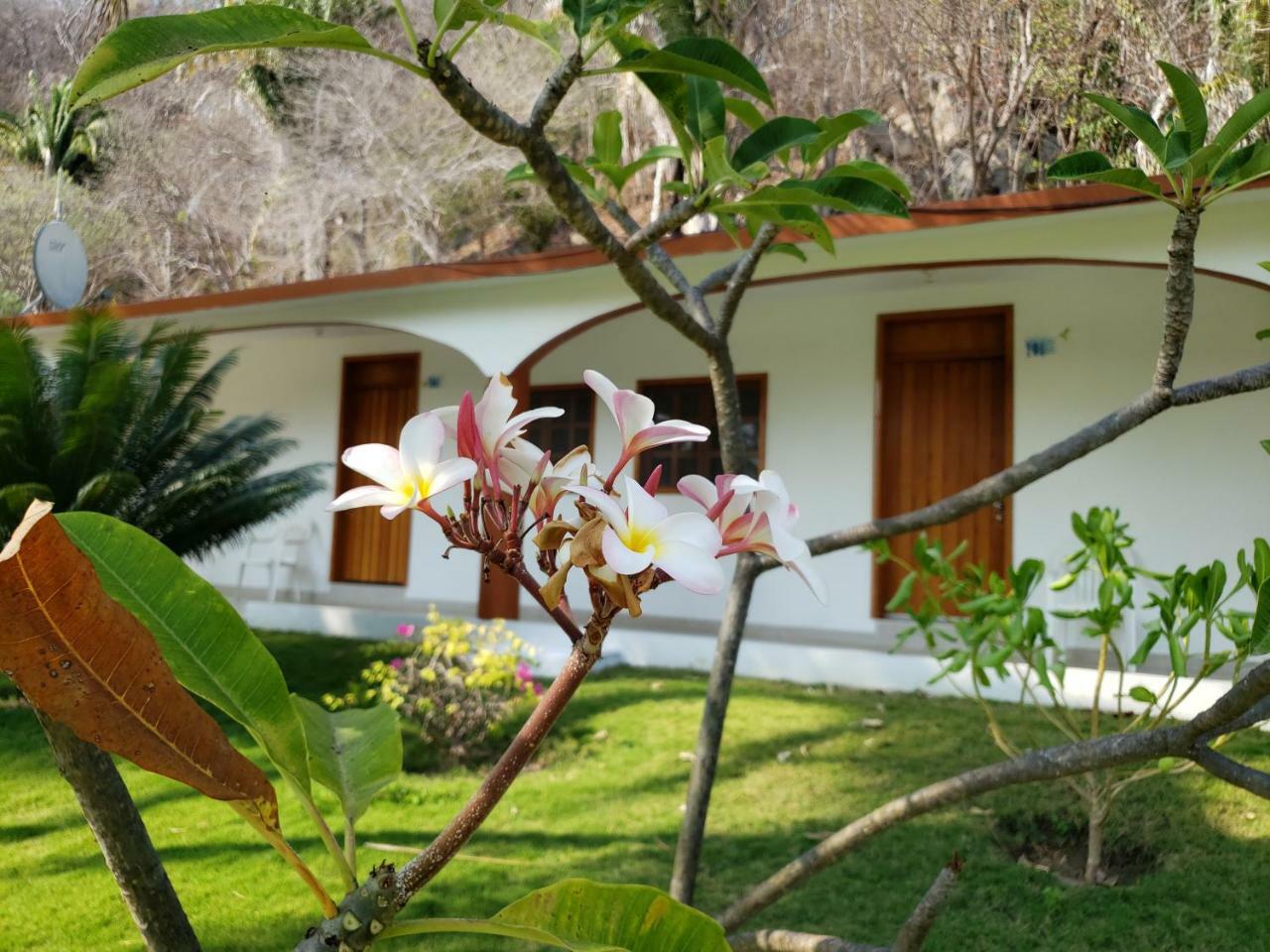 Hotel Y Club Campestre Altos Paraiso Пуэрто-Эскондидо Экстерьер фото